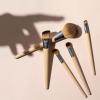 EcoTools 6 Piece Start The Day Beautifully Makeup Brush Set, Makeup Brushes For Eyeshadow, Blush, Concealer, & Foundation Application, Eco-Friendly, Gift Set, Synthetic Hair, Vegan & Cruelty-Free(5 Piece Set)