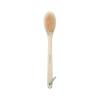 EcoTools Bath Bristle Brush, Bath Brush with Long Handle, Cleanse Back & Hard-to-Reach Areas, Eco Friendly Shower Brush for Exfoliating, Cruelty Free Nylon Bristles, Vegan, 1 Count(1 Count (Pack of 2))