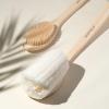 EcoTools Bath Bristle Brush, Bath Brush with Long Handle, Cleanse Back & Hard-to-Reach Areas, Eco Friendly Shower Brush for Exfoliating, Cruelty Free Nylon Bristles, Vegan, 1 Count(1 Count (Pack of 1))