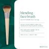 EcoTools Blurring Powder Makeup Brush, For Loose & Pressed Powder, Large Makeup Brush For All-Over Application, Fluffy, Synthetic Bristles, Eco Friendly, Cruelty-Free, & Vegan, 1 Count(Blending Brush)