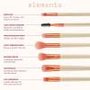 EcoTools Elements Fiery Eye Makeup Brush Set, For Eyeshadow & Eyeliner, Blending Brushes for Eyes, Eco Friendly Makeup Brushes, Limited Edition, Orange, Cruelty Free & Vegan, 6 Piece Set