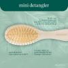 EcoTools Mini Detangler Hairbrush, Brush For Wet Or Dry Hair, Heat Resistant, Mini Hairbrush Gently Detangles & Styles, Travel-Size Paddle Brush, Renewable Bamboo, Vegan & Cruelty-Free, 1 Count(Mini Shine Brush)