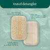 EcoTools Mini Detangler Hairbrush, Brush For Wet Or Dry Hair, Heat Resistant, Mini Hairbrush Gently Detangles & Styles, Travel-Size Paddle Brush, Renewable Bamboo, Vegan & Cruelty-Free, 1 Count(Travel Brush)