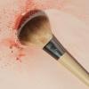 EcoTools Precision Blush Makeup Brush, Cheek Blush Brush, For Loose or Pressed Powder, Also Works With Bronzer, Eco-Friendly Face Makeup Brush, Vegan & Cruelty-Free, Synthetic Bristles, 1 Count(Precision Blush Brush)