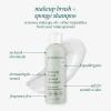 EcoTools XL Makeup Brush + Sponge Shampoo, Removes Makeup, Dirt, & Impurities From Makeup Brushes & Makeup Blending Sponges, Fragrance-Free, Vegan, & Cruelty-Free 16 fl. oz./473 ml, 1 Count, Clear(16 Fl Oz (Pack of 1))