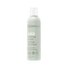 EcoTools XL Makeup Brush + Sponge Shampoo, Removes Makeup, Dirt, & Impurities From Makeup Brushes & Makeup Blending Sponges, Fragrance-Free, Vegan, & Cruelty-Free 16 fl. oz./473 ml, 1 Count, Clear(6 Fl Oz (Pack of 1))