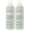 EcoTools XL Makeup Brush + Sponge Shampoo, Removes Makeup, Dirt, & Impurities From Makeup Brushes & Makeup Blending Sponges, Fragrance-Free, Vegan, & Cruelty-Free 16 fl. oz./473 ml, 1 Count, Clear(16 Fl Oz (Pack of 2))