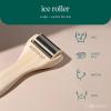 EcoTools Ice Roller, Lifts & Depuffs Skin, Stainless Steal Cooling Roller For Face & Neck, Provides Relaxation While Sculpting, Eco Friendly, Vegan, & Cruelty Free Skincare Tool, 1 Count(Ice Roller)