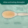 EcoTools Shine Activating Detangler Hairbrush, Brush For Wet Or Dry Hair, Gently Detangle & Style Hair, Heat Safe Paddle Brush, Flexible Bristles, Renewable Bamboo, Vegan & Cruelty-Free, 1 Count