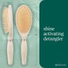 EcoTools Shine Activating Detangler Hairbrush, Brush For Wet Or Dry Hair, Gently Detangle & Style Hair, Heat Safe Paddle Brush, Flexible Bristles, Renewable Bamboo, Vegan & Cruelty-Free, 1 Count